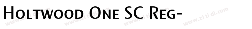 Holtwood One SC Reg字体转换